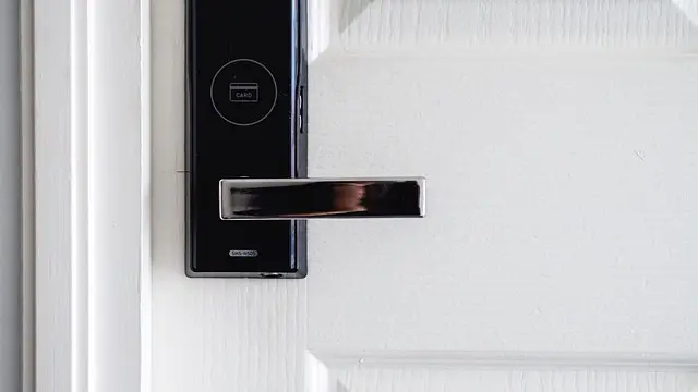 Best Home DIY Lab Security Systems